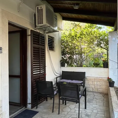 Seashell * 弗尔萨尔