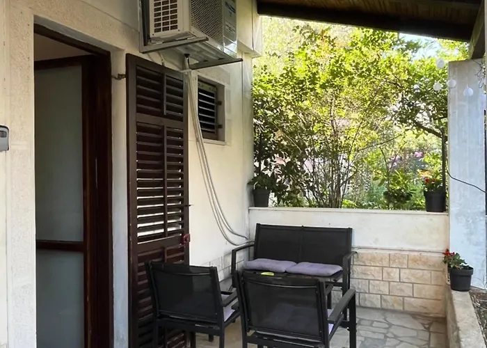 Seashell * 弗尔萨尔