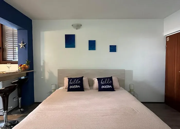 Seashell 브르사르